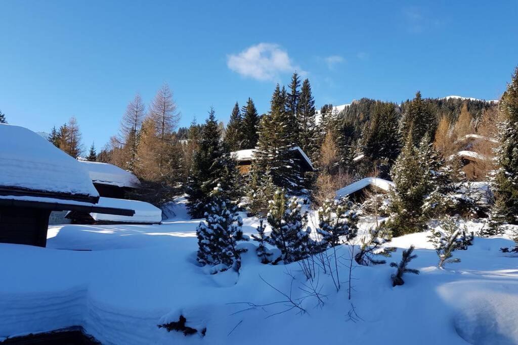 Chalet Wulli In Der Naehe Der Skianlagen Savognin Luaran gambar
