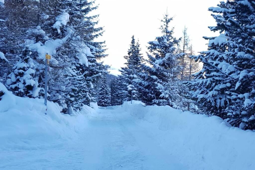 Chalet Wulli In Der Naehe Der Skianlagen Savognin Luaran gambar