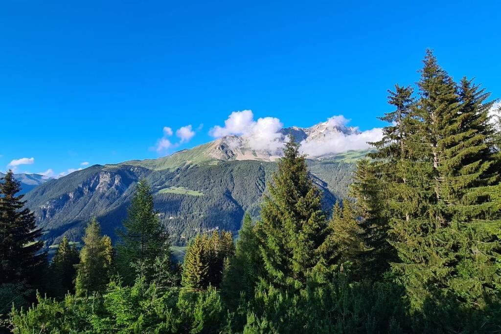 Chalet Wulli In Der Naehe Der Skianlagen Savognin Luaran gambar