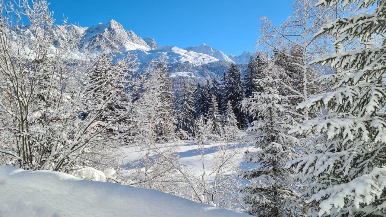 Chalet Wulli In Der Naehe Der Skianlagen Savognin Luaran gambar