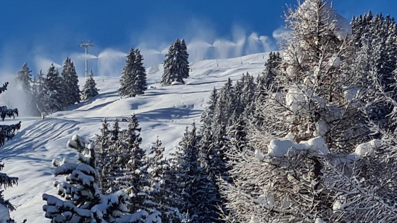 Chalet Wulli In Der Naehe Der Skianlagen Savognin Luaran gambar